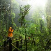 depositphotos_115960384-stock-photo-traveller-taking-photo-at-beautiful